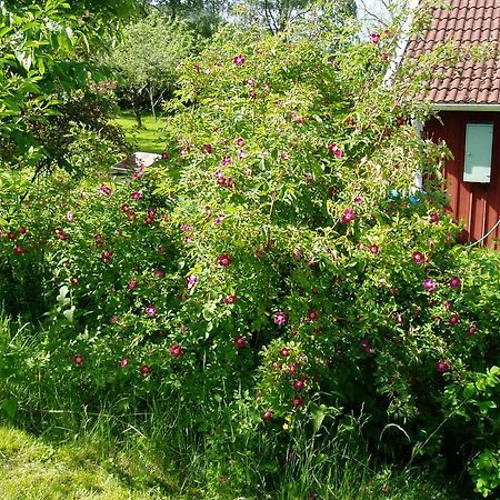 Langesater B&B Lerdala Esterno foto